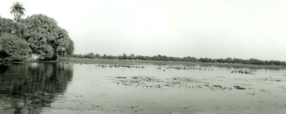 100-View