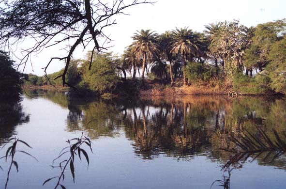 101-Backwater