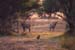 132-Antelopes-1