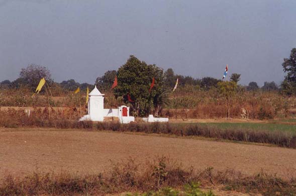 215-Temple-26