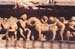 115-Frieze-4