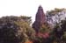 119-Temple-3