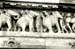 160-Frieze-36
