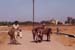 216-Donkeys-2