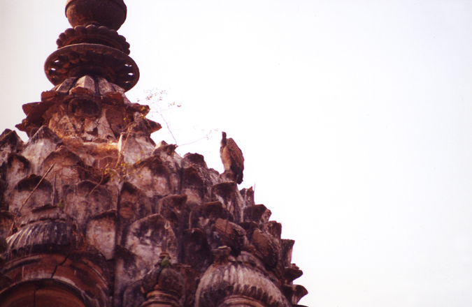 Vulture-2